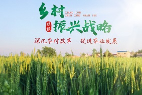 【政策解讀】我國加大大型智能農(nóng)機裝備扶持政策